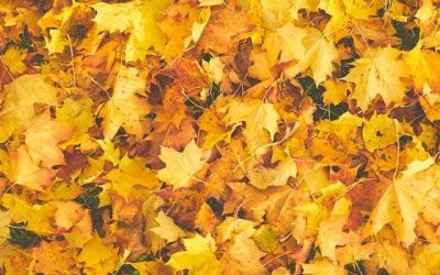 Ideas para despedidas en otoño
